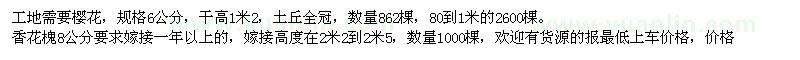 求購(gòu)香花槐、櫻花
