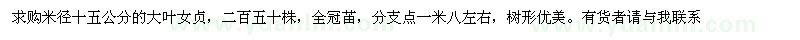 求購米徑15公分大葉女貞