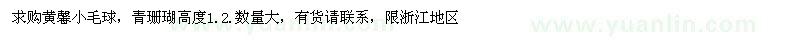 求購(gòu)黃馨小毛球、青珊瑚