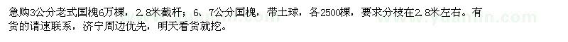 求購國槐