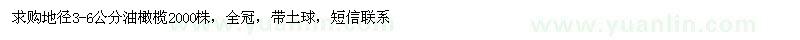 求購地徑3-6公分油橄欖