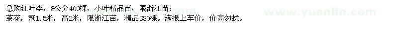 求購8公分紅葉李、冠1.5米茶花