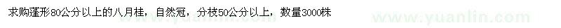 求購蓬形80公分以上八月桂