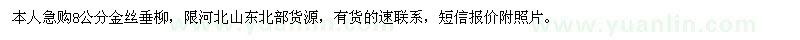 求購(gòu)8公分金絲垂柳