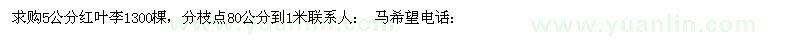 求購5公分紅葉李