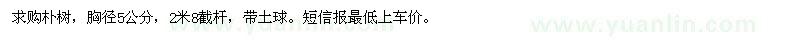 求購(gòu)胸徑5公分樸樹(shù)