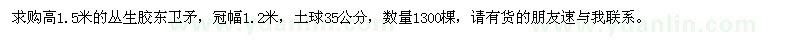 求購高1.5米膠東衛(wèi)矛