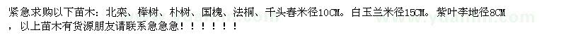 求購北欒、櫸樹、樸樹