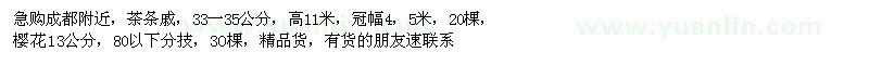 求購茶條戚、櫻花