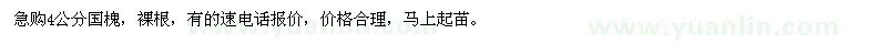 求購(gòu)4公分國(guó)槐