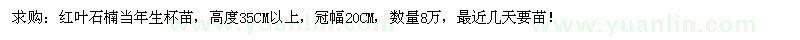 求購紅葉石楠杯苗