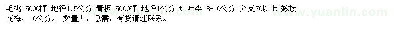求購毛桃、青楓、紅葉李