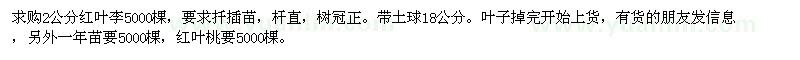 求購2公分紅葉李