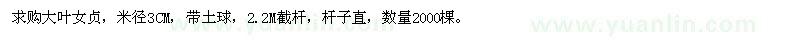 求購米徑3公分大葉女貞