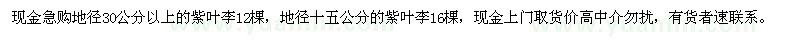 求購(gòu)紫葉李