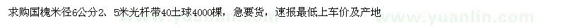 求購6公分國槐