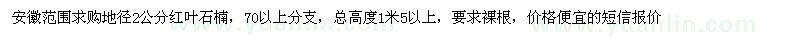 求購地徑2公分紅葉石楠