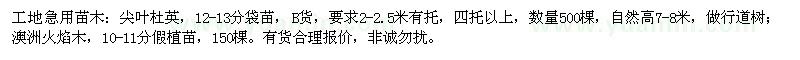 求購(gòu)尖葉杜英、澳洲火焰木