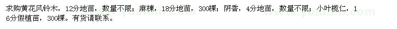 求購黃花風鈴木、麻楝、陰香