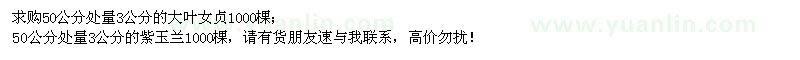 求購大葉女貞、紫玉蘭