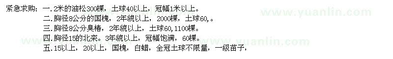 求購(gòu)油松、國(guó)槐、臭椿、北欒、白蠟