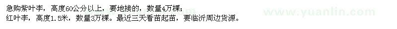 求購紫葉李、紅葉李