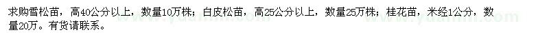 求購(gòu)雪松苗、白皮松苗、桂花苗