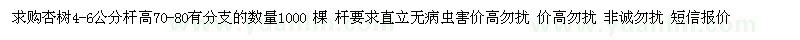 求購4-6公分杏樹