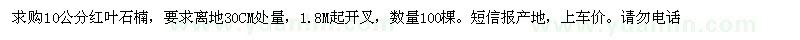 求購10公分紅葉石楠