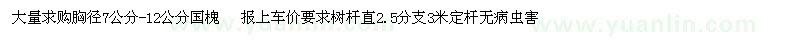 求購7-12公分國槐