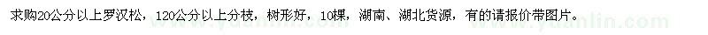求購20公分以上羅漢松