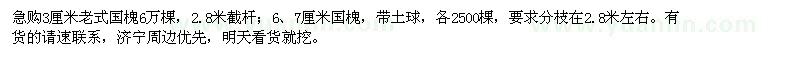 求購3公分老式國槐
