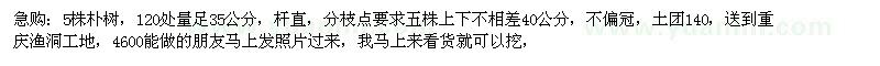 求購(gòu)120處量足35公分樸樹