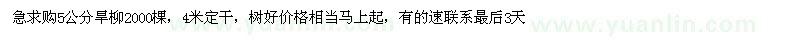 求購5公分旱柳