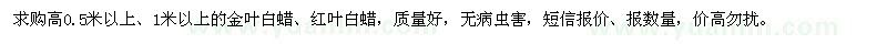 求購金葉白蠟、紅葉白蠟