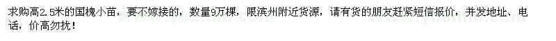 求購高2.5米國槐小苗