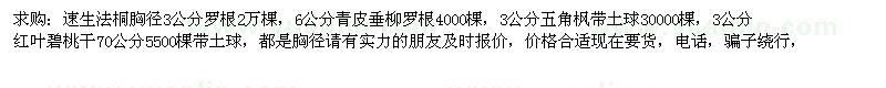 求購速生法桐、青皮垂柳、五角楓等