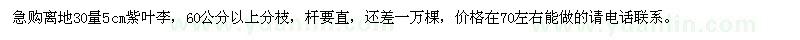 求購紫葉李