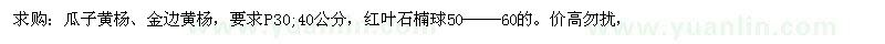 求購(gòu)瓜子黃楊、金邊黃楊 