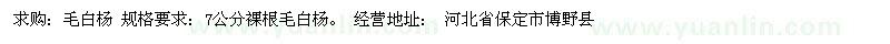 求購毛白楊