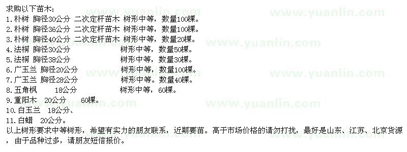 求購樸樹、法桐、廣玉蘭等一批綠化苗木