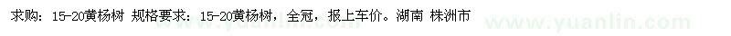 求購15-20黃楊樹