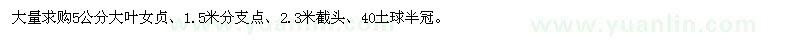 求購大葉女貞