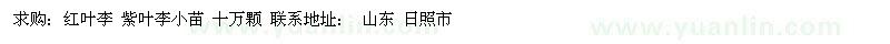 求購紅葉李、紫葉李小苗