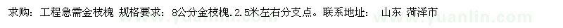 求購金枝槐
