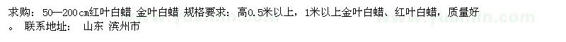 求購50-200公分白蠟
