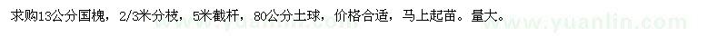 求購13公分國槐