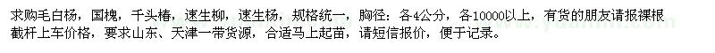 求購毛白楊、國槐、千頭椿、速生柳、速生楊