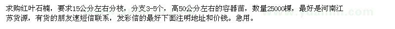 求購(gòu)高50公分左右紅葉石楠
