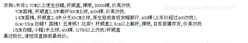 求購國槐、白蠟、速生白蠟